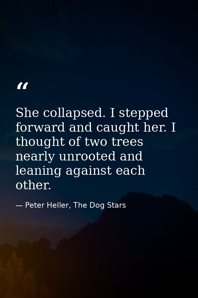 She collapsed. I stepped forward and caught her. I thought of two trees nearly unrooted and leaning against each other. — Peter Heller, The Dog Stars