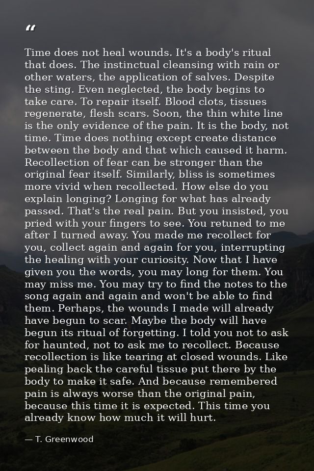Time does not heal wounds. It's a body's ritual that does. The instinctual cleansing with rain or other waters, the appl — T. Greenwood