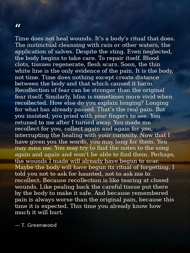Time does not heal wounds. It's a body's ritual that does. The instinctual cleansing with rain or other waters, the appl — T. Greenwood