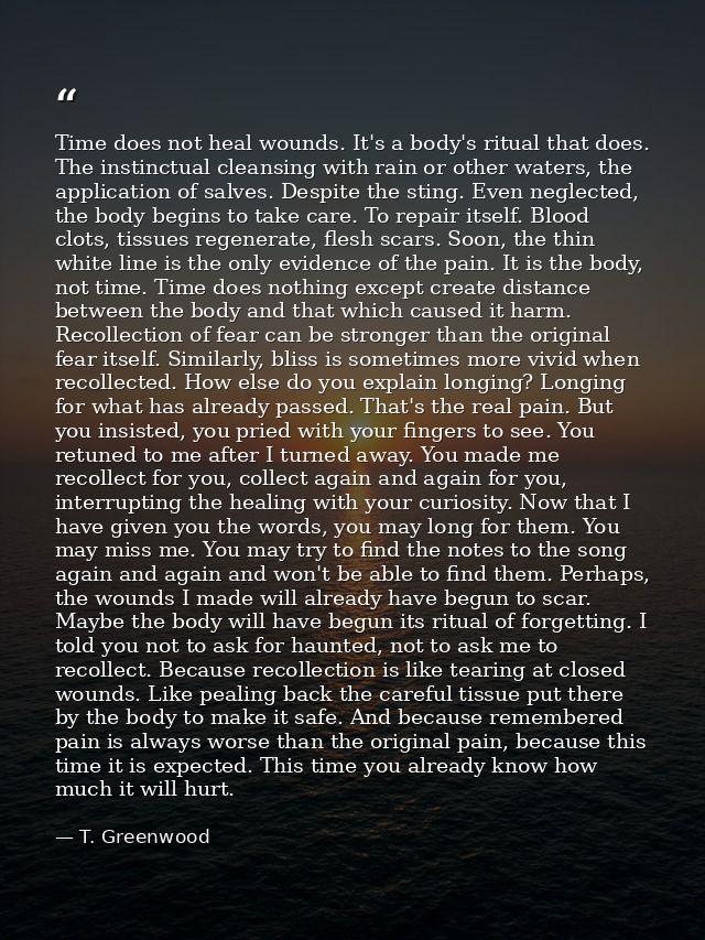 Time does not heal wounds. It's a body's ritual that does. The instinctual cleansing with rain or other waters, the appl — T. Greenwood
