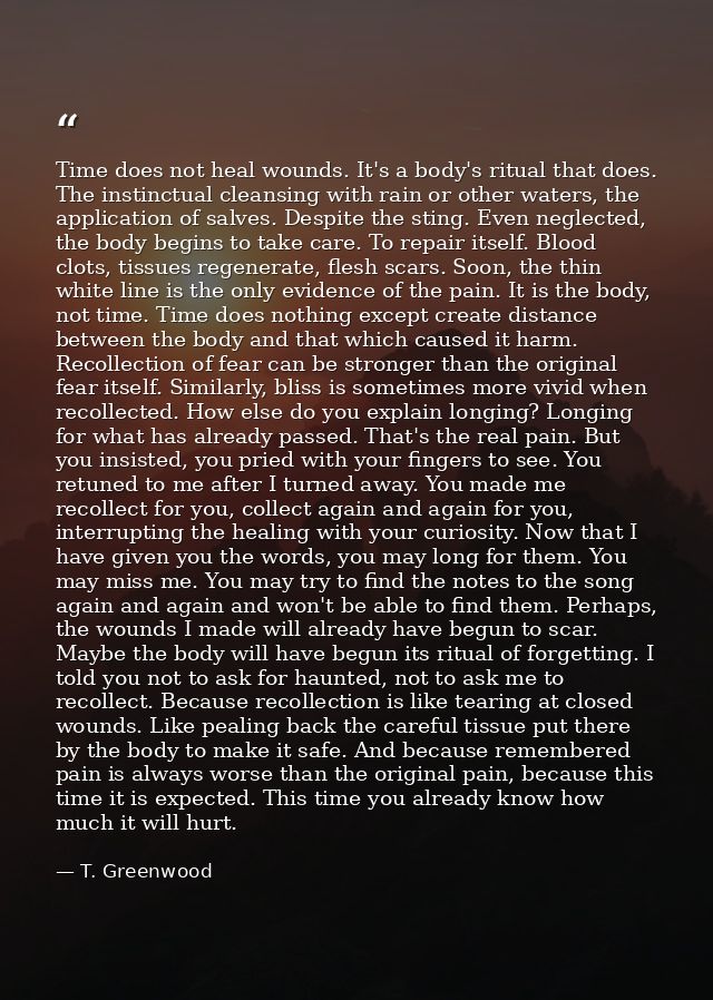 Time does not heal wounds. It's a body's ritual that does. The instinctual cleansing with rain or other waters, the appl — T. Greenwood