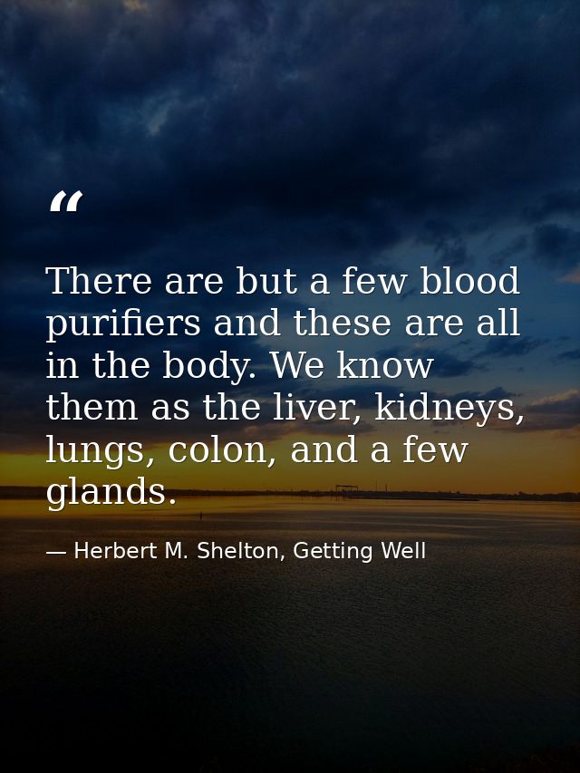 There are but a few blood purifiers and these are all in the body. We know them as the liver, kidneys, lungs, colon, and — Herbert M. Shelton, Getting Well