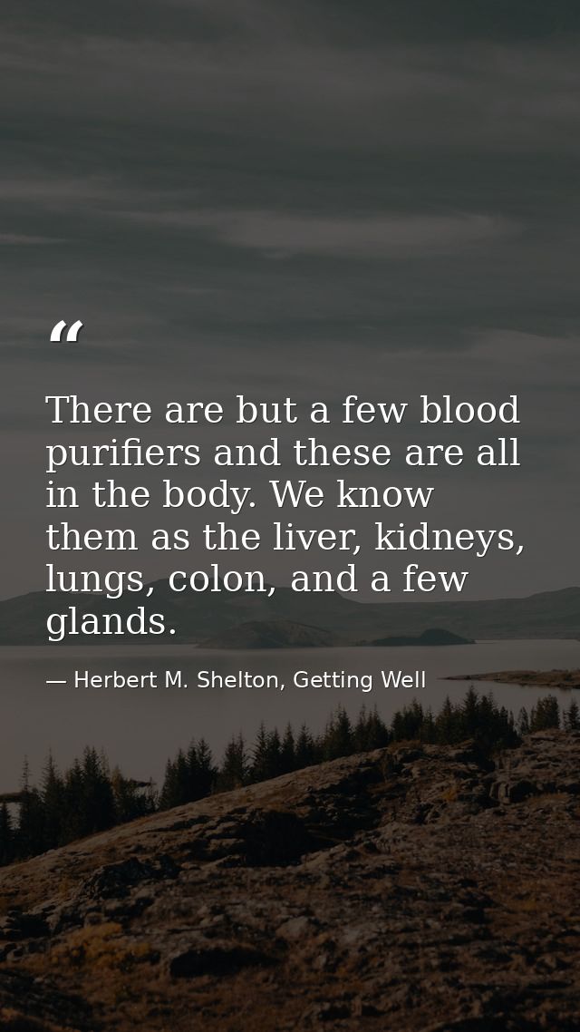There are but a few blood purifiers and these are all in the body. We know them as the liver, kidneys, lungs, colon, and — Herbert M. Shelton, Getting Well