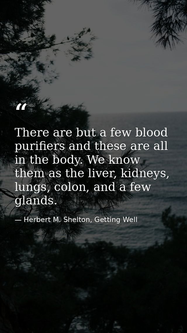 There are but a few blood purifiers and these are all in the body. We know them as the liver, kidneys, lungs, colon, and — Herbert M. Shelton, Getting Well