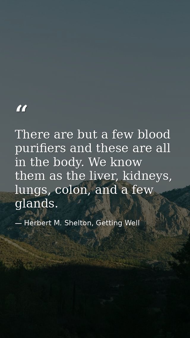 There are but a few blood purifiers and these are all in the body. We know them as the liver, kidneys, lungs, colon, and — Herbert M. Shelton, Getting Well