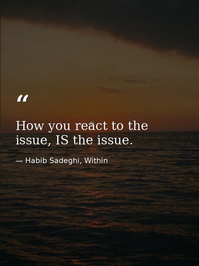 How you react to the issue, IS the issue. — Habib Sadeghi, Within