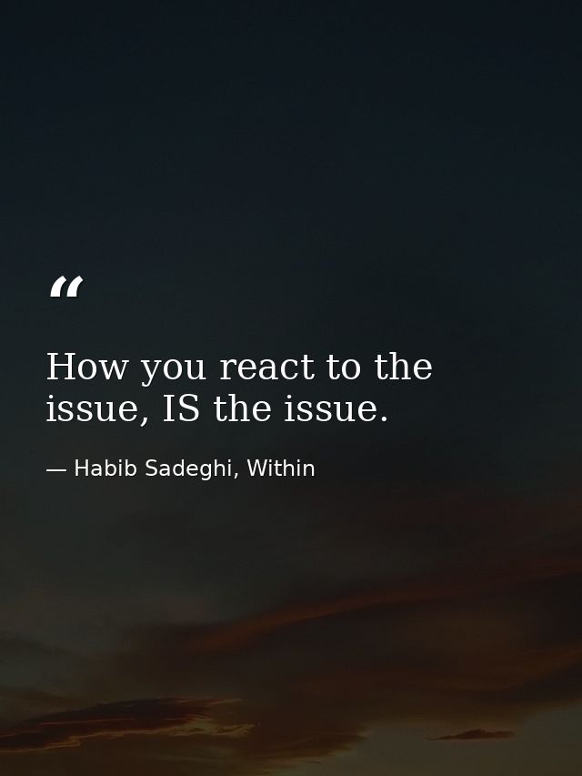 How you react to the issue, IS the issue. — Habib Sadeghi, Within