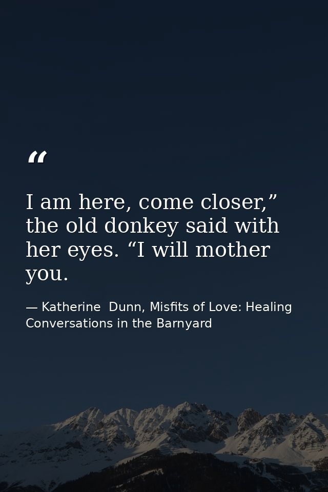 I am here, come closer,” the old donkey said with her eyes. “I will mother you. — Katherine  Dunn, Misfits of Love: Healing Conversations in the Barnyard