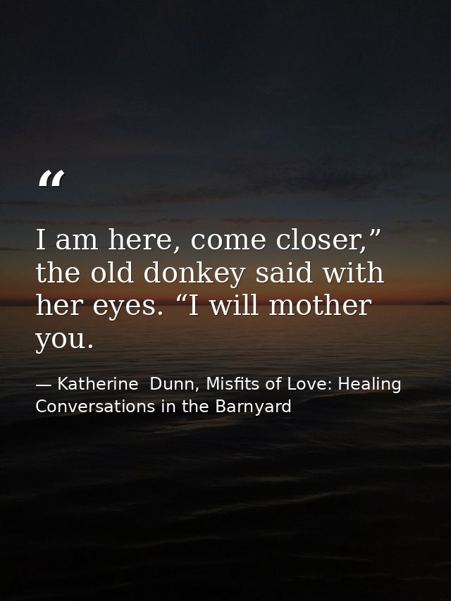 I am here, come closer,” the old donkey said with her eyes. “I will mother you. — Katherine  Dunn, Misfits of Love: Healing Conversations in the Barnyard