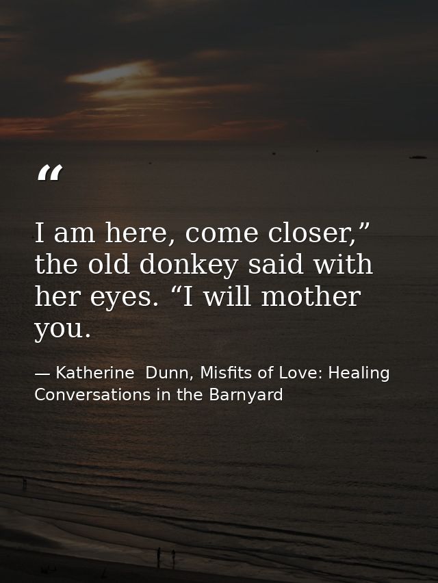 I am here, come closer,” the old donkey said with her eyes. “I will mother you. — Katherine  Dunn, Misfits of Love: Healing Conversations in the Barnyard