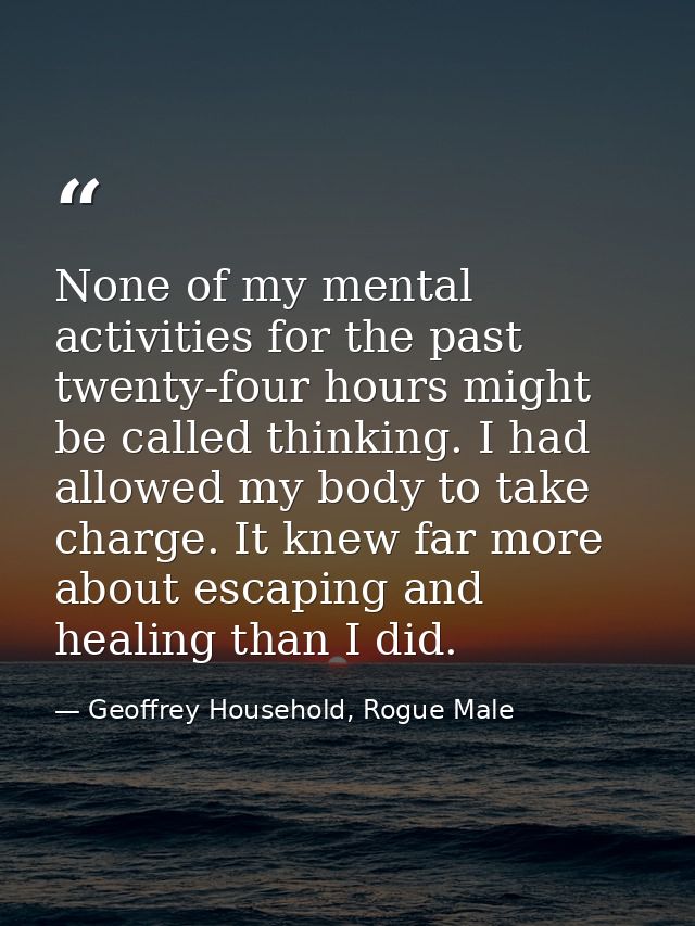 None of my mental activities for the past twenty-four hours might be called thinking. I had allowed my body to take char — Geoffrey Household, Rogue Male