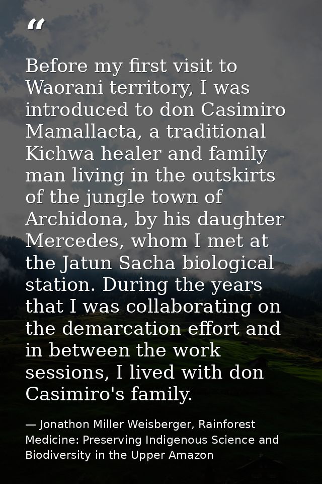 Before my first visit to Waorani territory, I was introduced to don Casimiro Mamallacta, a traditional Kichwa healer and — Jonathon Miller Weisberger, Rainforest Medicine: Preserving Indigenous Science and Biodiversity in the Upper Amazon