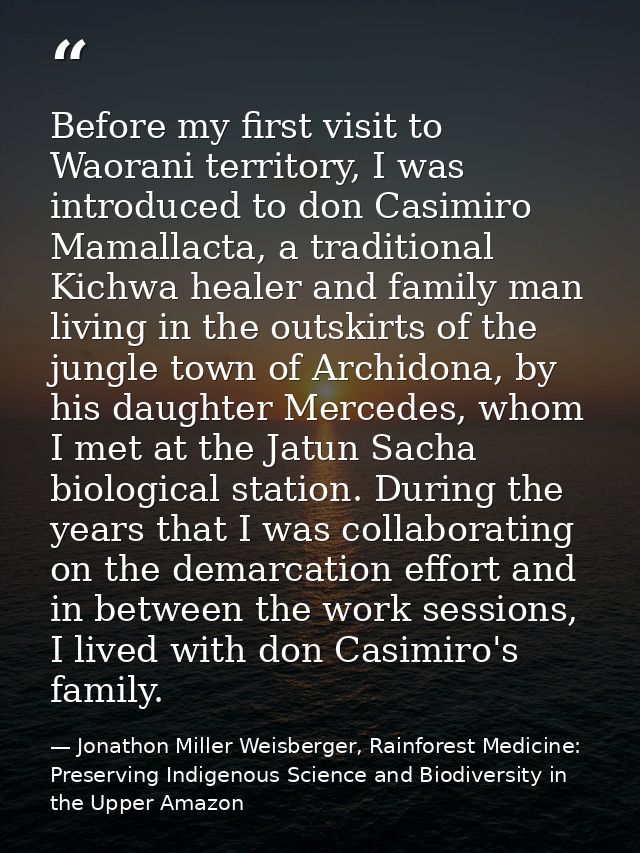 Before my first visit to Waorani territory, I was introduced to don Casimiro Mamallacta, a traditional Kichwa healer and — Jonathon Miller Weisberger, Rainforest Medicine: Preserving Indigenous Science and Biodiversity in the Upper Amazon
