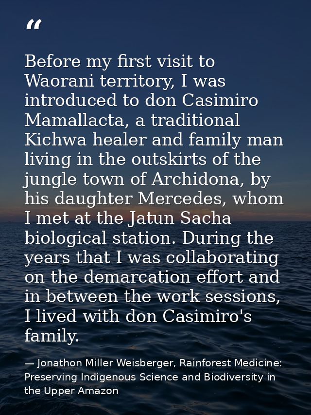Before my first visit to Waorani territory, I was introduced to don Casimiro Mamallacta, a traditional Kichwa healer and — Jonathon Miller Weisberger, Rainforest Medicine: Preserving Indigenous Science and Biodiversity in the Upper Amazon