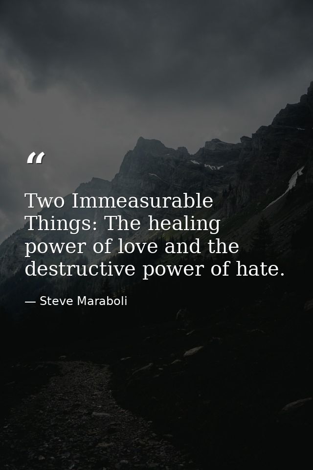 Two Immeasurable Things: The healing power of love and the destructive power of hate. — Steve Maraboli