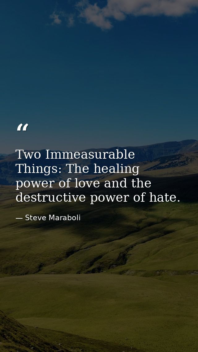 Two Immeasurable Things: The healing power of love and the destructive power of hate. — Steve Maraboli