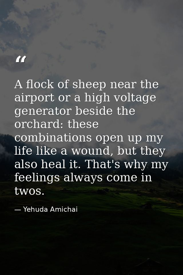 A flock of sheep near the airport or a high voltage generator beside the orchard: these combinations open up my life lik — Yehuda Amichai