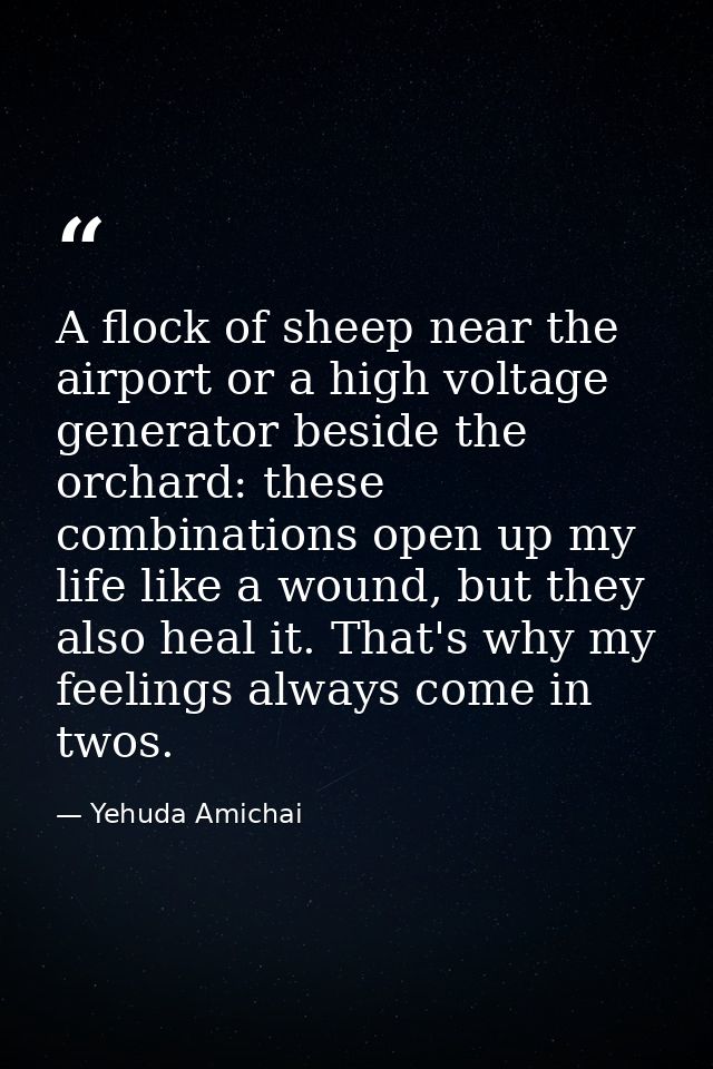 A flock of sheep near the airport or a high voltage generator beside the orchard: these combinations open up my life lik — Yehuda Amichai