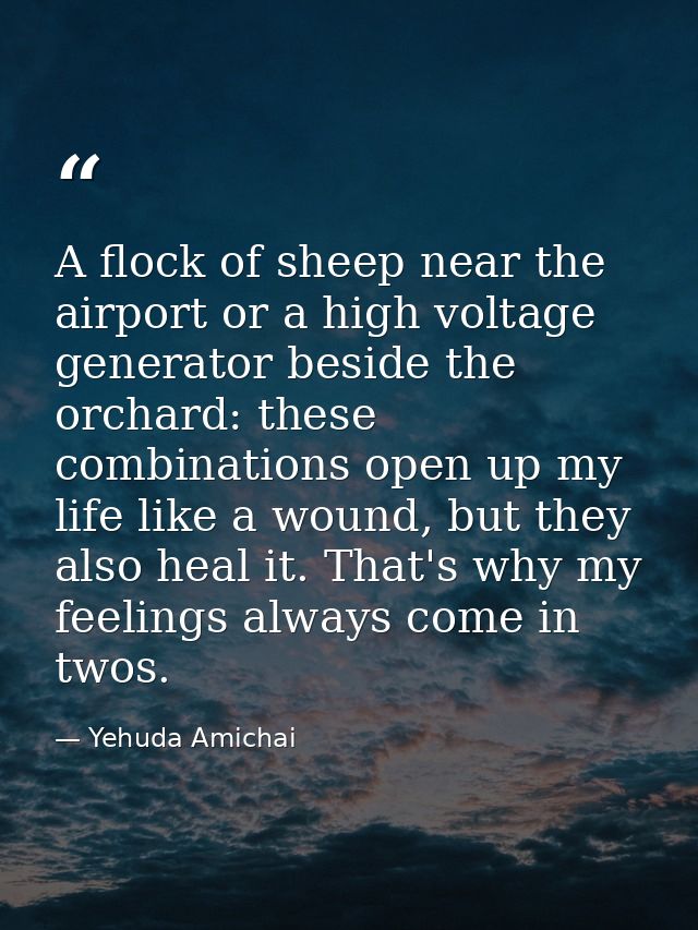 A flock of sheep near the airport or a high voltage generator beside the orchard: these combinations open up my life lik — Yehuda Amichai