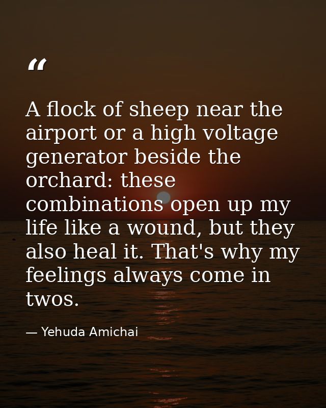 A flock of sheep near the airport or a high voltage generator beside the orchard: these combinations open up my life lik — Yehuda Amichai