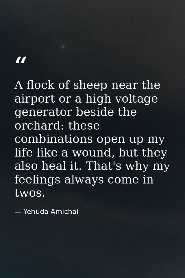 A flock of sheep near the airport or a high voltage generator beside the orchard: these combinations open up my life lik — Yehuda Amichai