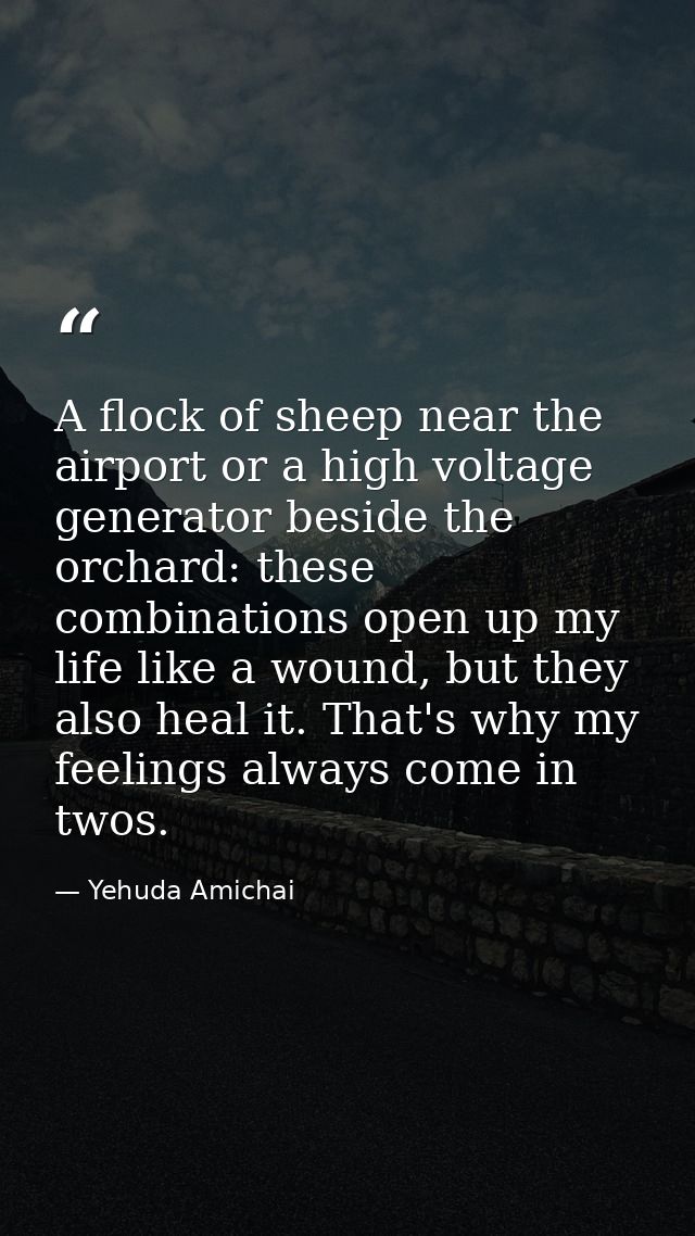 A flock of sheep near the airport or a high voltage generator beside the orchard: these combinations open up my life lik — Yehuda Amichai