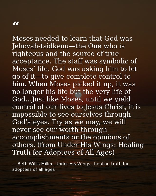 Moses needed to learn that God was Jehovah-tsidkenu—the One who is righteous and the source of true acceptance. The staf — Beth Willis Miller, Under His Wings...healing truth for adoptees of all ages