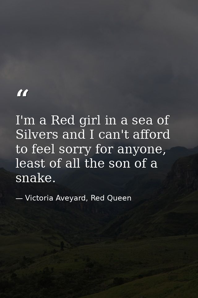 I'm a Red girl in a sea of Silvers and I can't afford to feel sorry for anyone, least of all the son of a snake. — Victoria Aveyard, Red Queen