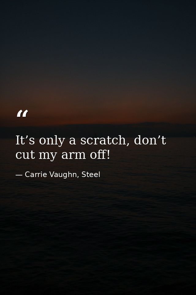 It’s only a scratch, don’t cut my arm off! — Carrie Vaughn, Steel