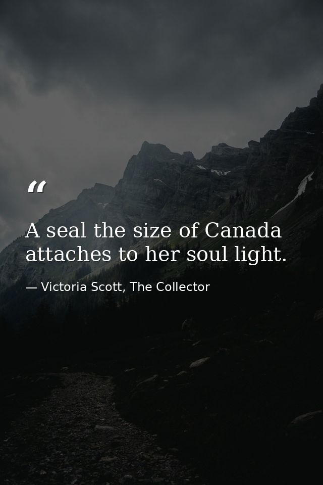 A seal the size of Canada attaches to her soul light. — Victoria Scott, The Collector