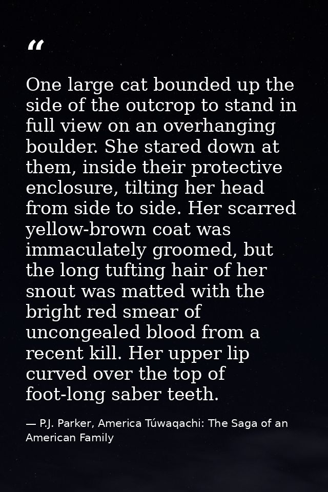 One large cat bounded up the side of the outcrop to stand in full view on an overhanging boulder. She stared down at the — P.J. Parker, America Túwaqachi: The Saga of an American Family