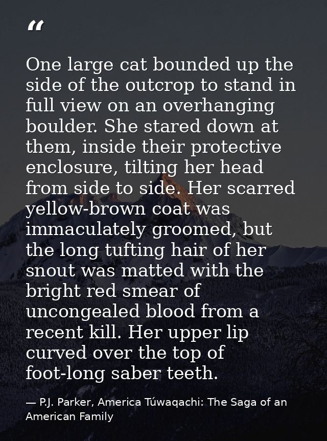 One large cat bounded up the side of the outcrop to stand in full view on an overhanging boulder. She stared down at the — P.J. Parker, America Túwaqachi: The Saga of an American Family