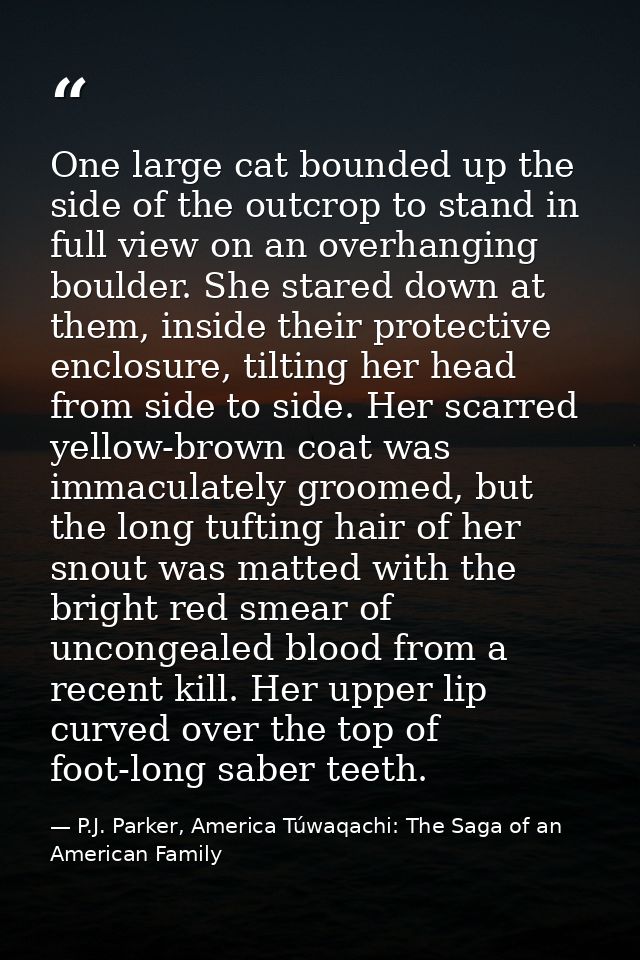 One large cat bounded up the side of the outcrop to stand in full view on an overhanging boulder. She stared down at the — P.J. Parker, America Túwaqachi: The Saga of an American Family