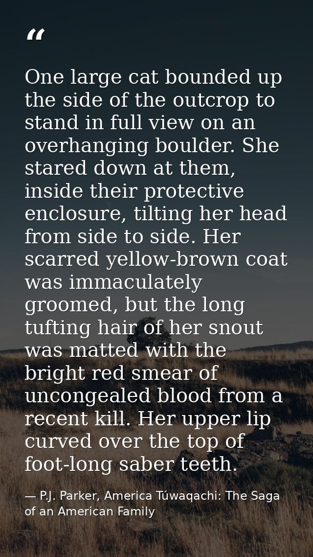 One large cat bounded up the side of the outcrop to stand in full view on an overhanging boulder. She stared down at the — P.J. Parker, America Túwaqachi: The Saga of an American Family