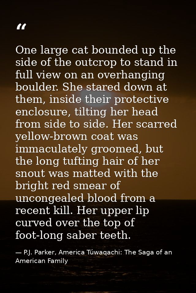 One large cat bounded up the side of the outcrop to stand in full view on an overhanging boulder. She stared down at the — P.J. Parker, America Túwaqachi: The Saga of an American Family