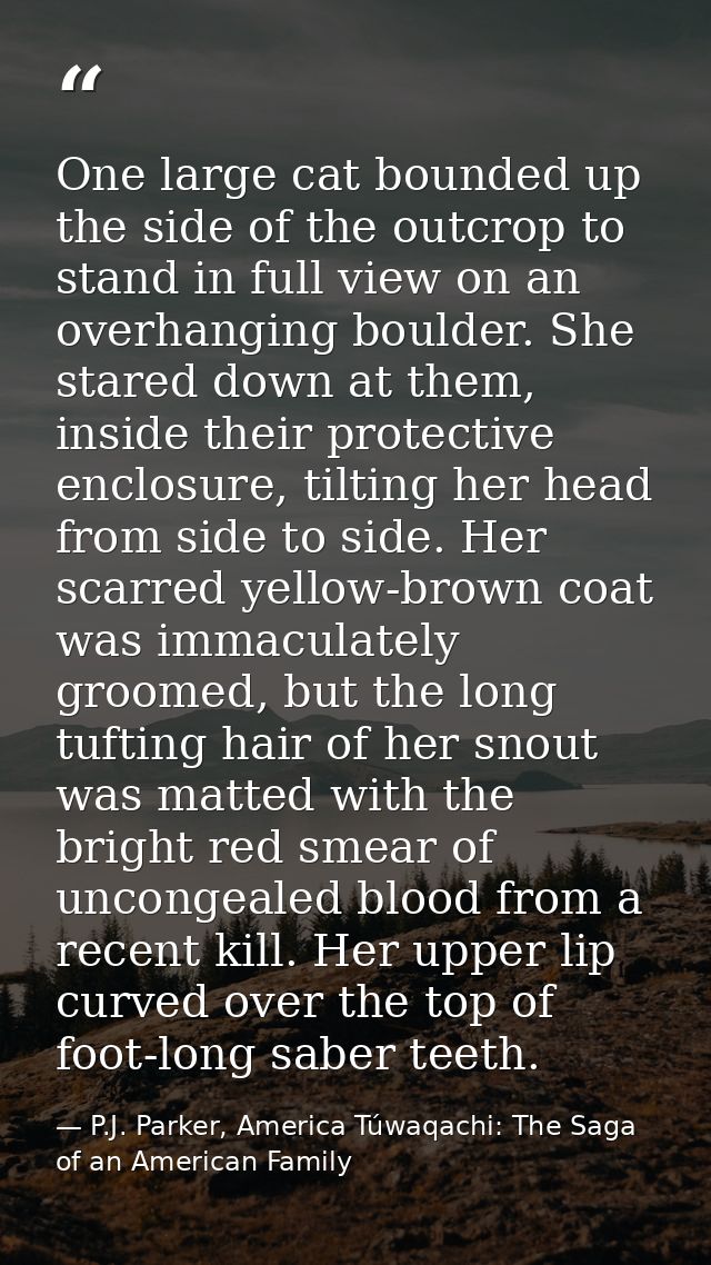 One large cat bounded up the side of the outcrop to stand in full view on an overhanging boulder. She stared down at the — P.J. Parker, America Túwaqachi: The Saga of an American Family