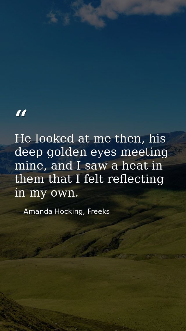 He looked at me then, his deep golden eyes meeting mine, and I saw a heat in them that I felt reflecting in my own. — Amanda Hocking, Freeks