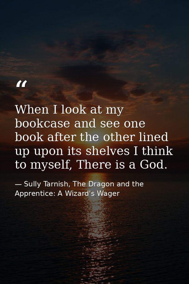 When I look at my bookcase and see one book after the other lined up upon its shelves I think to myself, There is a God. — Sully Tarnish, The Dragon and the Apprentice: A Wizard's Wager