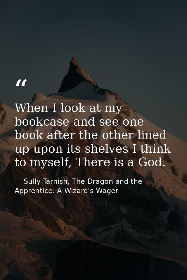 When I look at my bookcase and see one book after the other lined up upon its shelves I think to myself, There is a God. — Sully Tarnish, The Dragon and the Apprentice: A Wizard's Wager