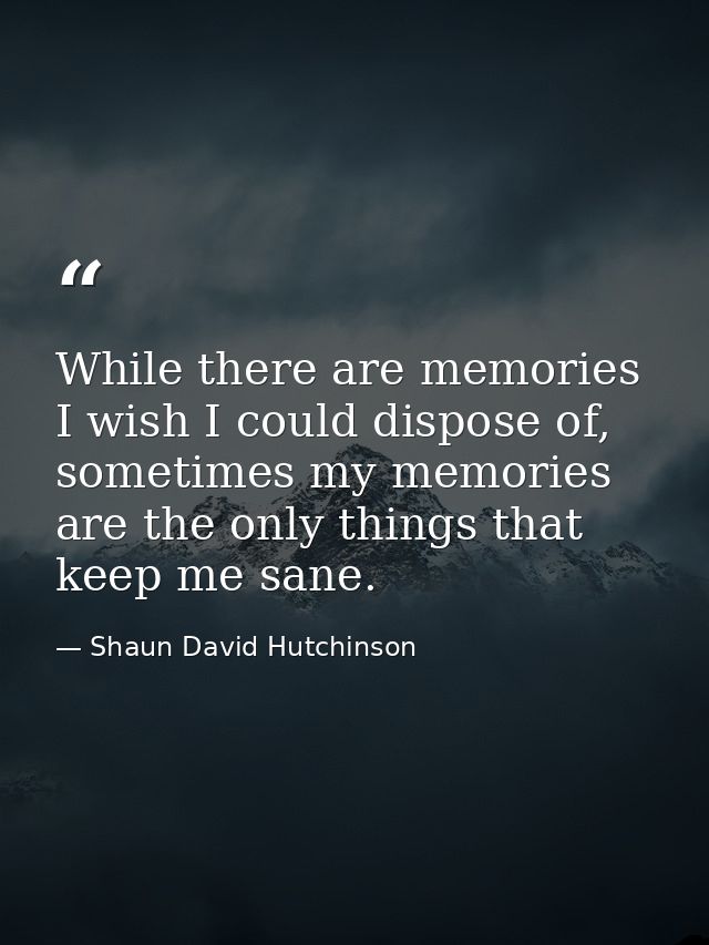 While there are memories I wish I could dispose of, sometimes my memories are the only things that keep me sane. — Shaun David Hutchinson