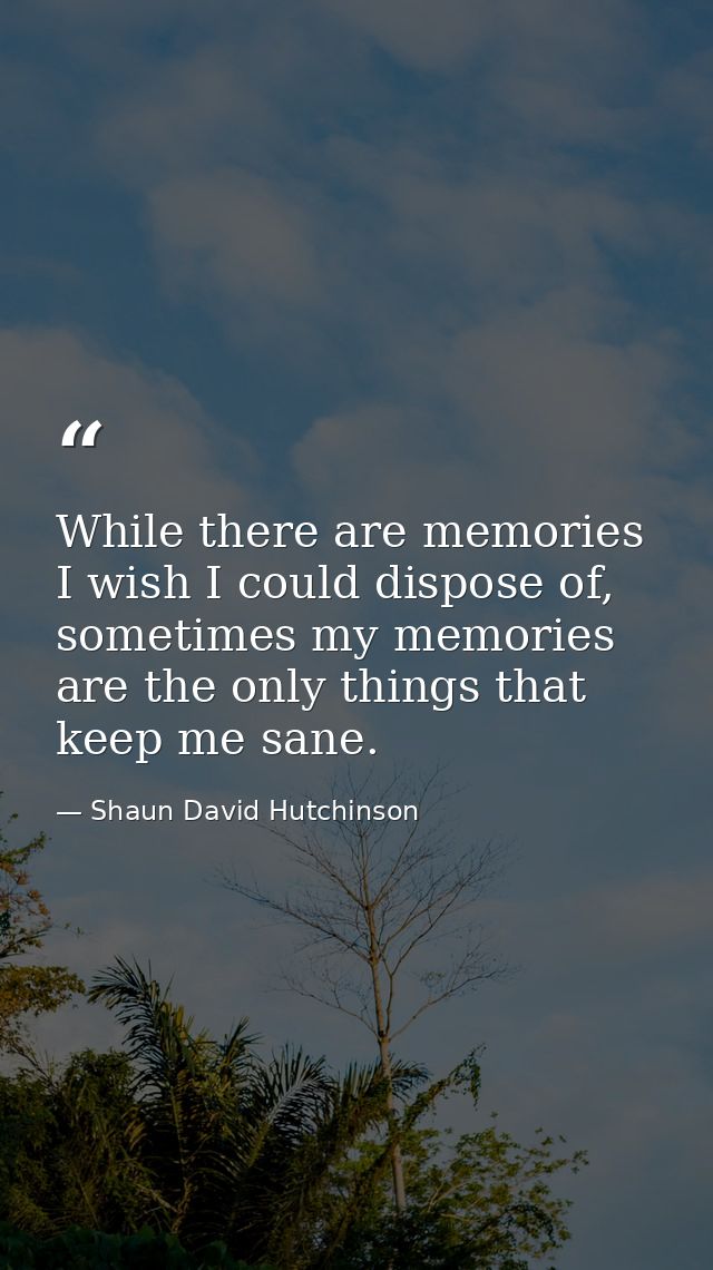 While there are memories I wish I could dispose of, sometimes my memories are the only things that keep me sane. — Shaun David Hutchinson