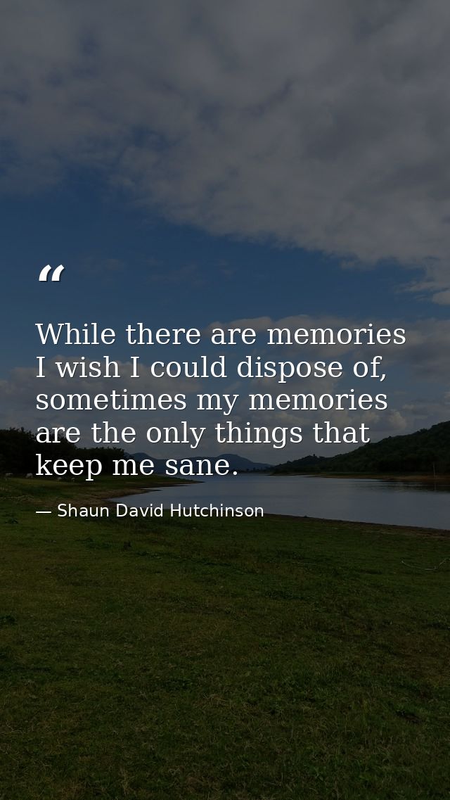While there are memories I wish I could dispose of, sometimes my memories are the only things that keep me sane. — Shaun David Hutchinson
