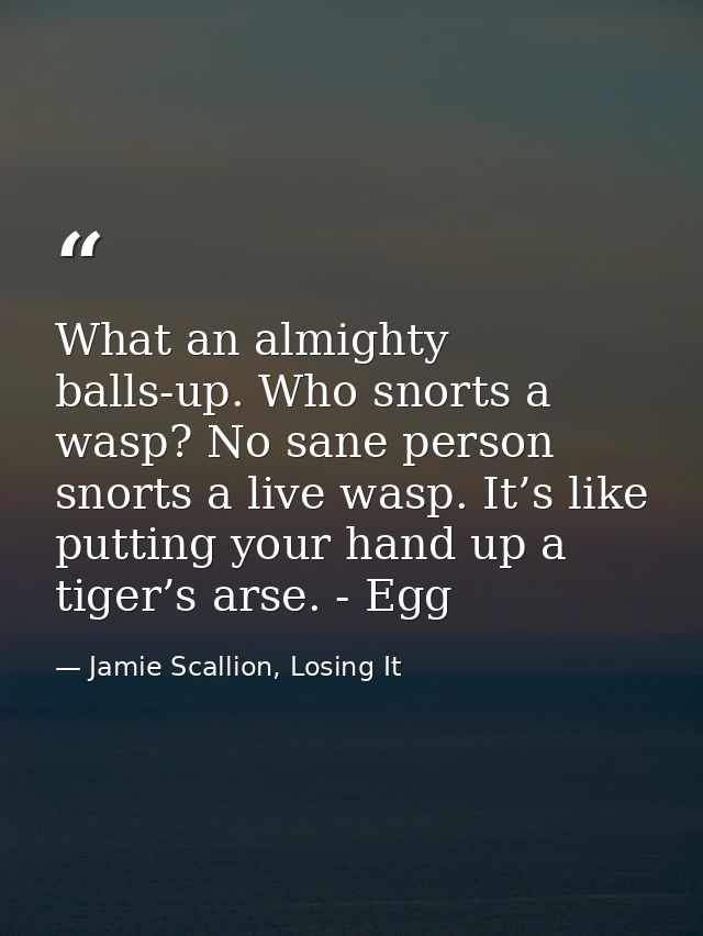 What an almighty balls-up. Who snorts a wasp? No sane person snorts a live wasp. It’s like putting your hand up a tiger’ — Jamie Scallion, Losing It
