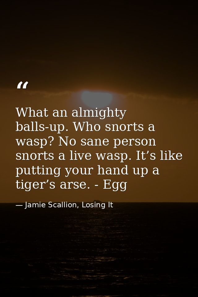 What an almighty balls-up. Who snorts a wasp? No sane person snorts a live wasp. It’s like putting your hand up a tiger’ — Jamie Scallion, Losing It