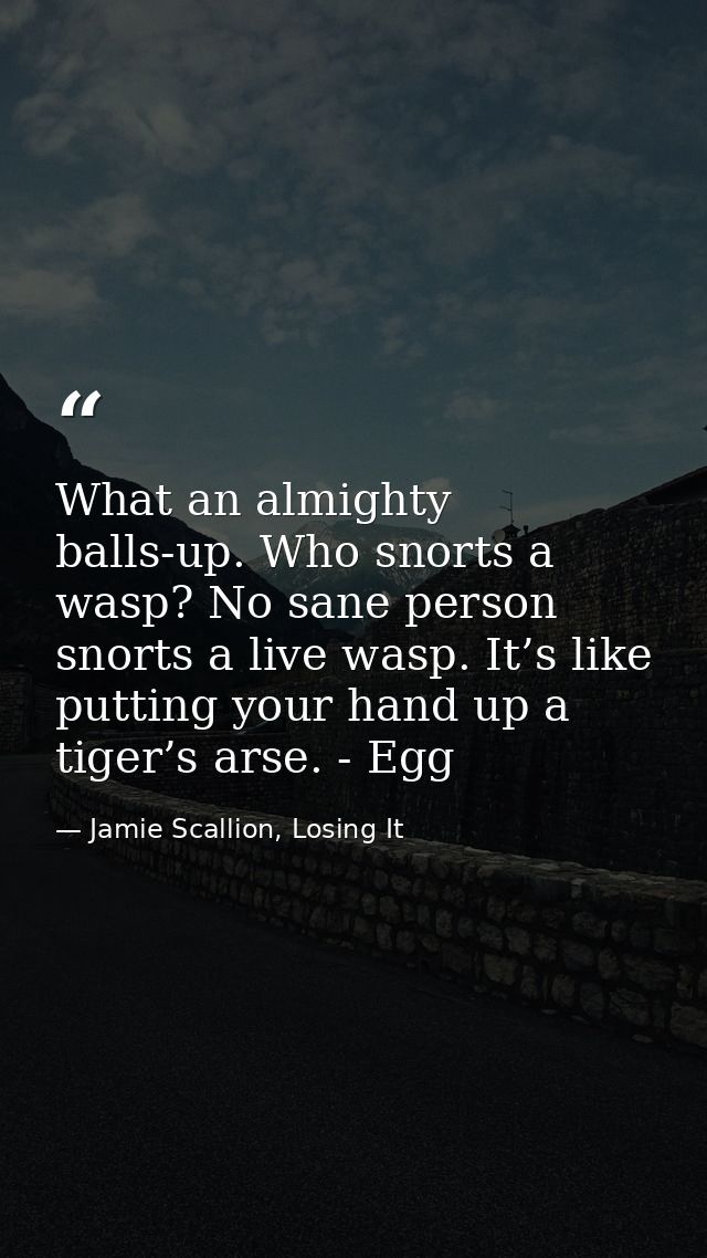 What an almighty balls-up. Who snorts a wasp? No sane person snorts a live wasp. It’s like putting your hand up a tiger’ — Jamie Scallion, Losing It