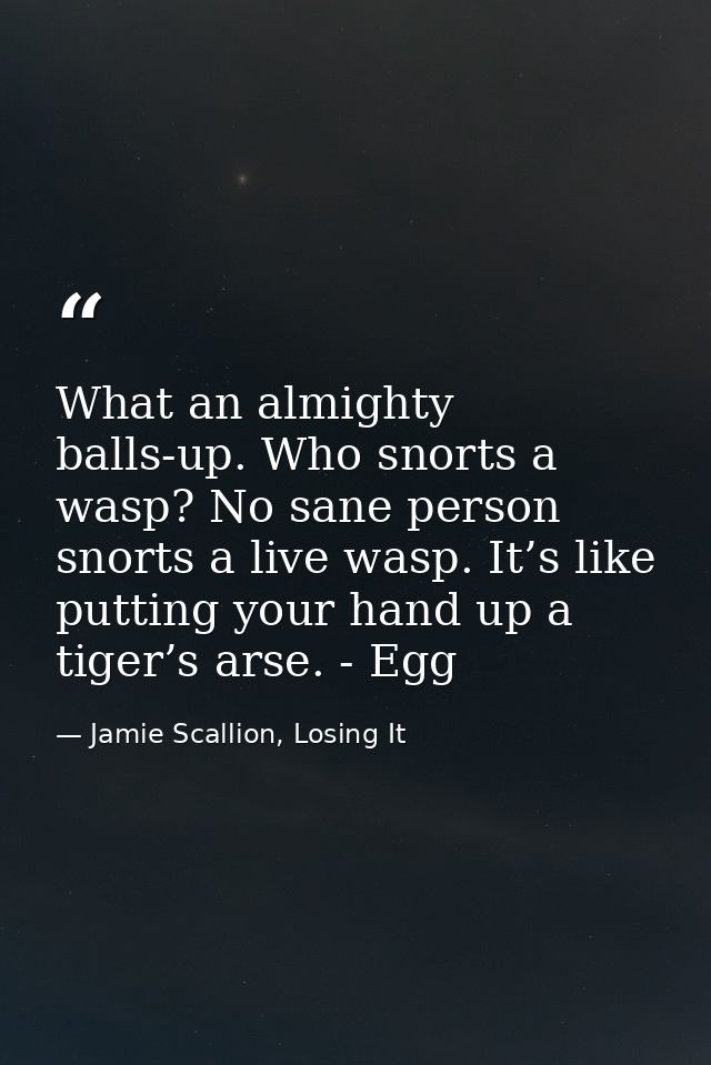 What an almighty balls-up. Who snorts a wasp? No sane person snorts a live wasp. It’s like putting your hand up a tiger’ — Jamie Scallion, Losing It