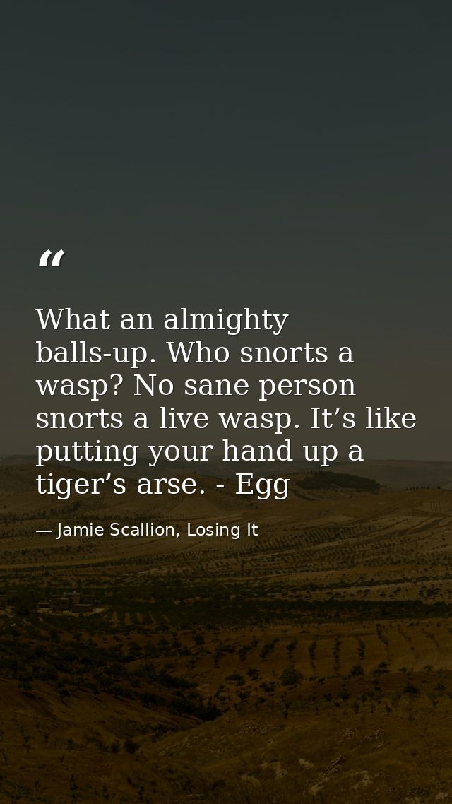 What an almighty balls-up. Who snorts a wasp? No sane person snorts a live wasp. It’s like putting your hand up a tiger’ — Jamie Scallion, Losing It