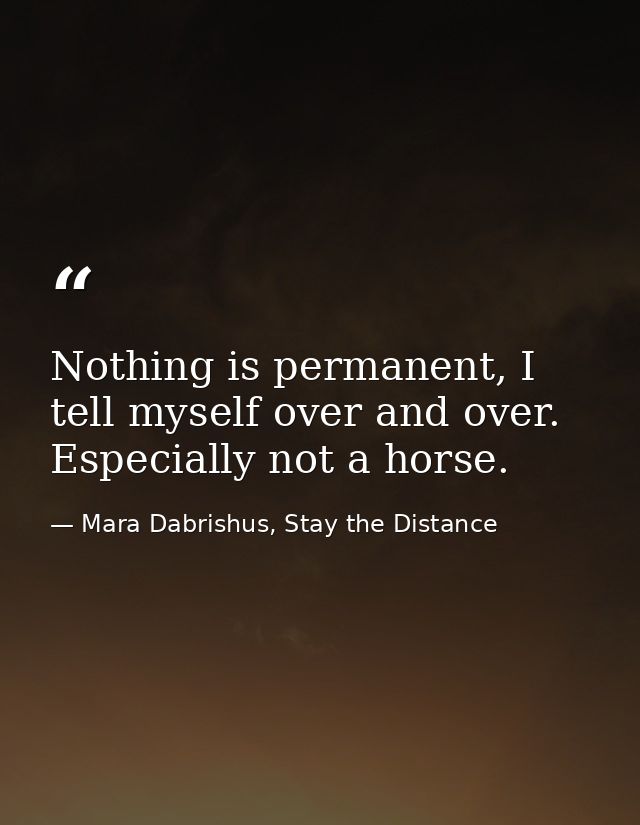 Nothing is permanent, I tell myself over and over. Especially not a horse. — Mara Dabrishus, Stay the Distance
