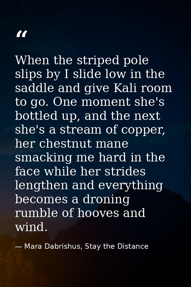 When the striped pole slips by I slide low in the saddle and give Kali room to go. One moment she's bottled up, and the  — Mara Dabrishus, Stay the Distance