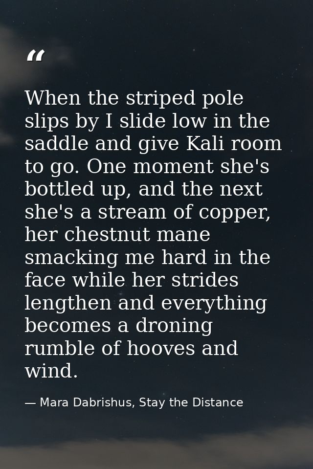 When the striped pole slips by I slide low in the saddle and give Kali room to go. One moment she's bottled up, and the  — Mara Dabrishus, Stay the Distance